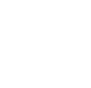The Federalist logo